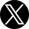x icon